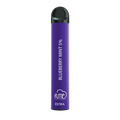 BLUEBERRY MINT Fume Extra 