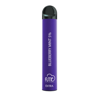 BLUEBERRY MINT Fume Extra 
