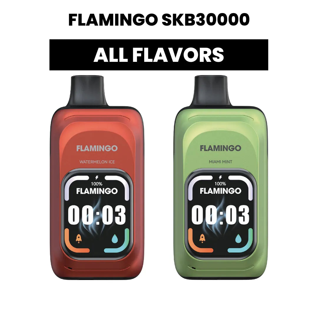Flamingo SKB30000 Smart Multifunctional Disposable Vape